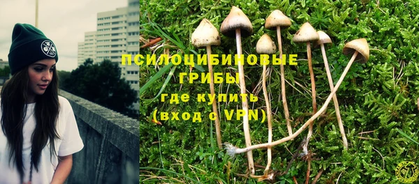spice Абдулино
