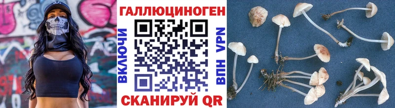 Галлюциногенные грибы мицелий купить сайты Староминская